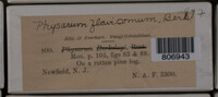 Image Associated With the Occurence